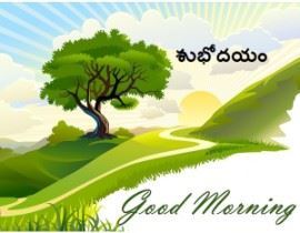 Telugu Greetings Good Morning Friendship Love Festivals