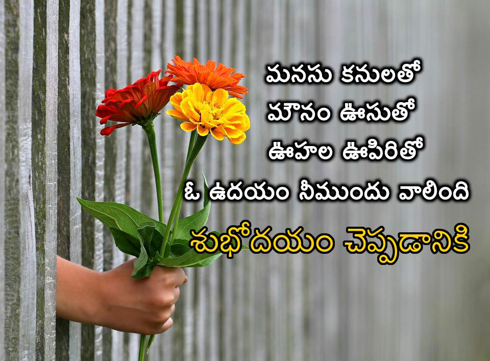 good morning telugu