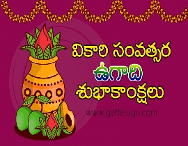 Vikari New Year wishes